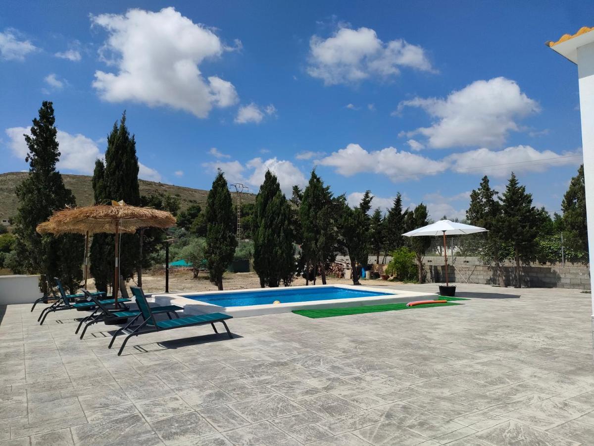 Casa Rural Con Piscina Climatizada Y Barbacoa A 10 Km De Alicante Y Playas, 3000 M2 De Terreno Елче Екстериор снимка