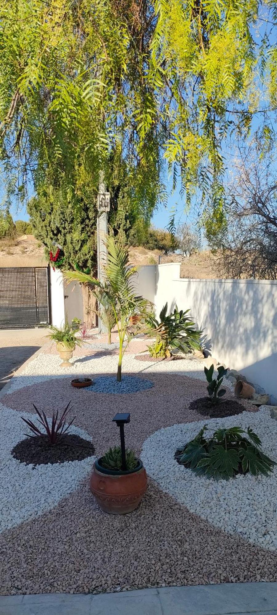 Casa Rural Con Piscina Climatizada Y Barbacoa A 10 Km De Alicante Y Playas, 3000 M2 De Terreno Елче Екстериор снимка
